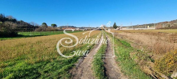 terreno agricolo in vendita a Fauglia in zona Luciana
