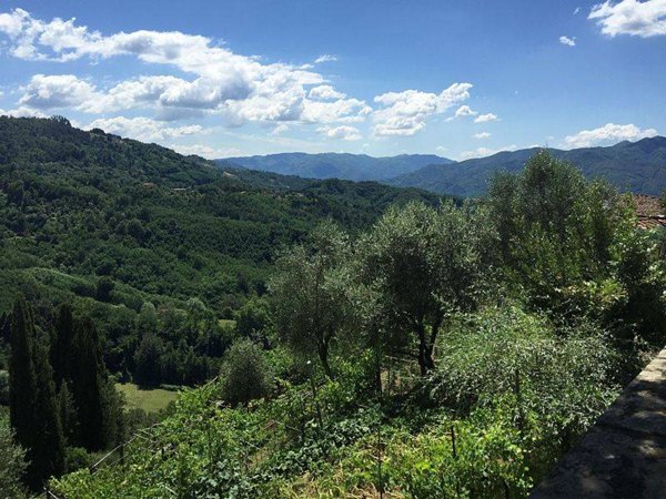 terreno agricolo in vendita a Fauglia in zona Valtriano