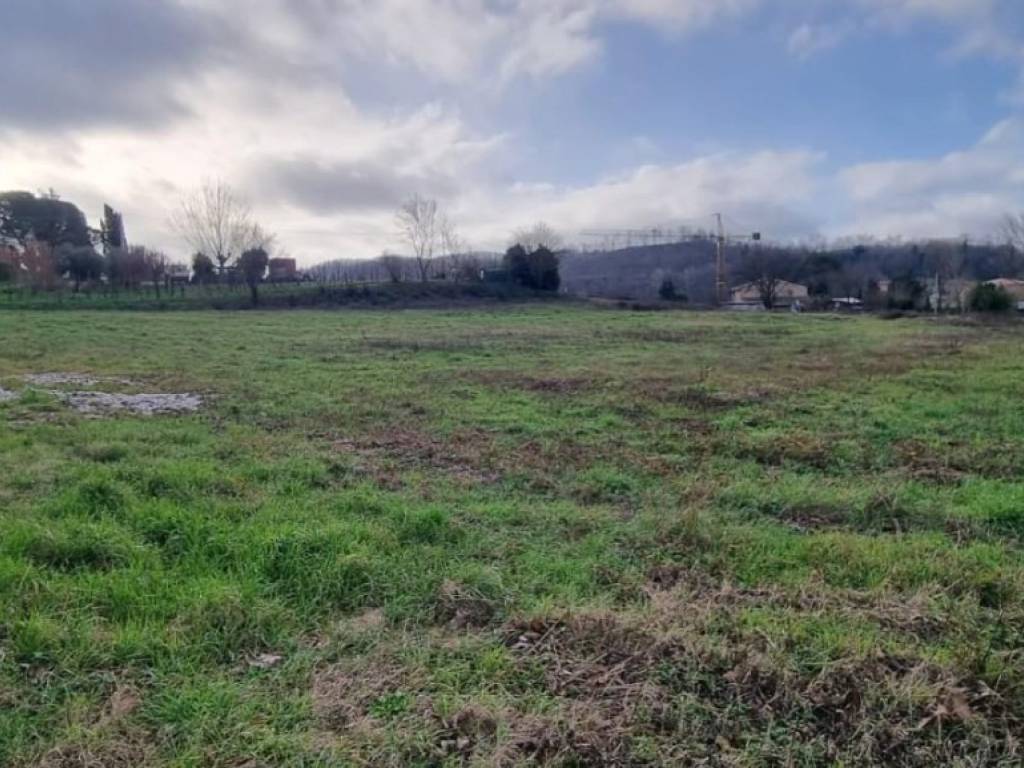 casa indipendente in vendita a Fauglia