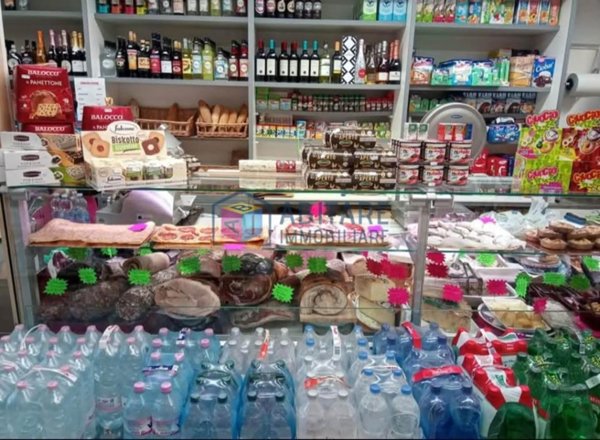 negozio in vendita a Fauglia