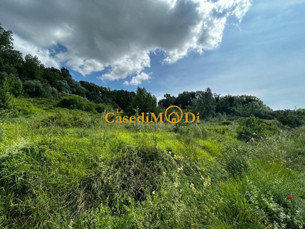 terreno agricolo in vendita a Fauglia in zona Acciaiolo
