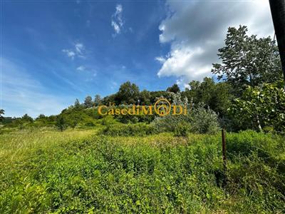 terreno agricolo in vendita a Fauglia in zona Acciaiolo
