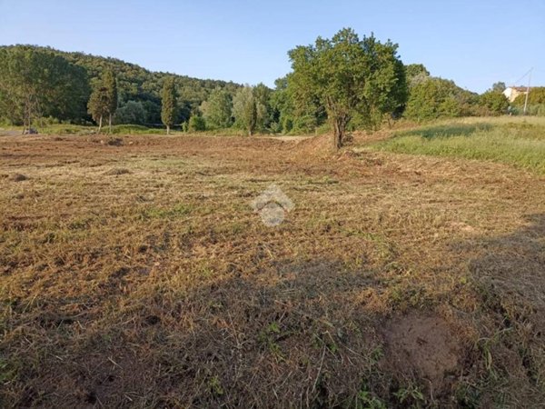 terreno agricolo in vendita a Fauglia in zona Acciaiolo