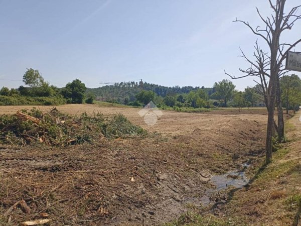 terreno agricolo in vendita a Fauglia