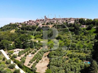 casa indipendente in vendita a Fauglia