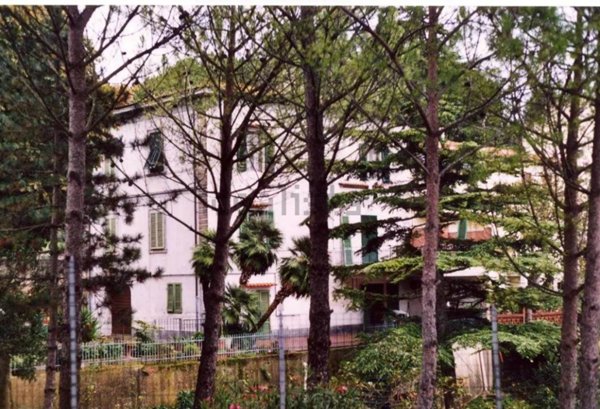 casa indipendente in vendita a Fauglia