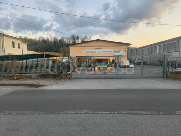 locale commerciale in vendita a Fauglia
