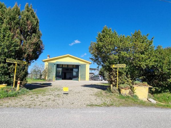 appartamento in vendita a Fauglia in zona Luciana