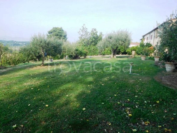 immagine annuncio 0 di 15