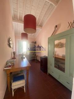 casa indipendente in vendita a Fauglia