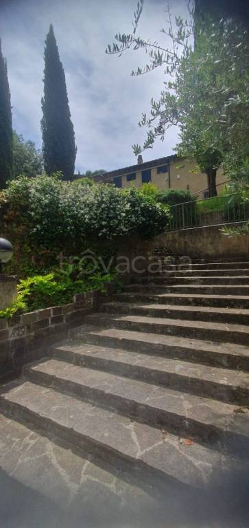 casa indipendente in vendita a Fauglia