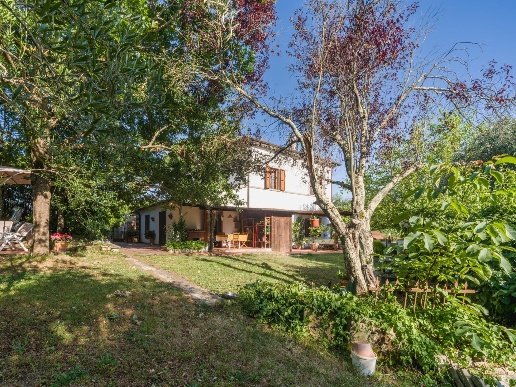 casa indipendente in vendita a Fauglia