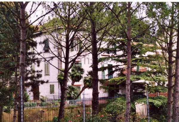casa indipendente in vendita a Fauglia