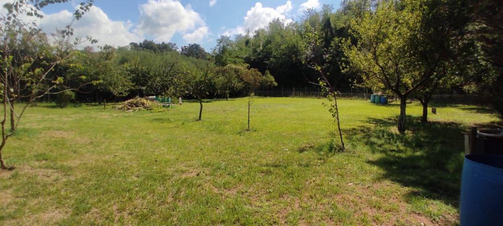 terreno agricolo in vendita a Fauglia