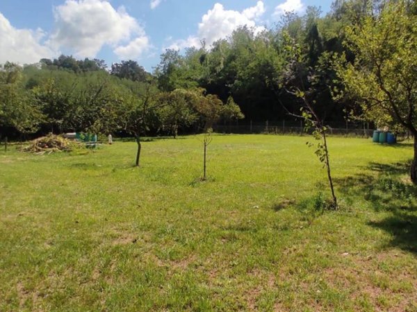 terreno agricolo in vendita a Fauglia