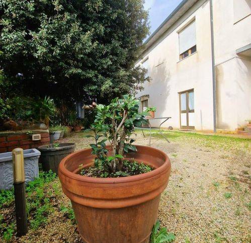 appartamento in vendita a Fauglia