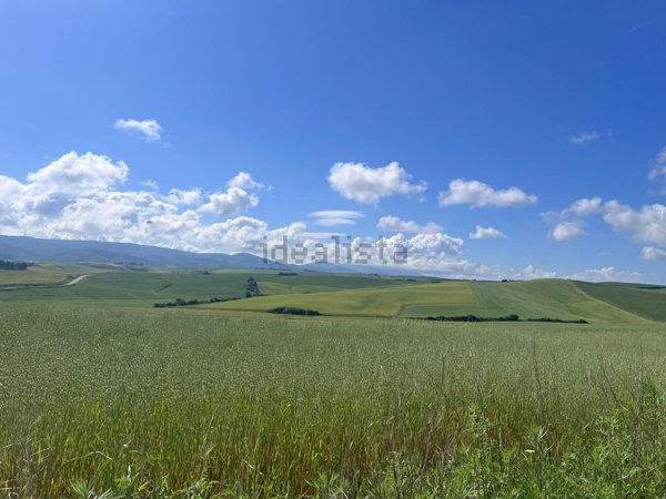 casa indipendente in vendita a Fauglia