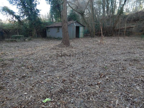 terreno in vendita a Fauglia
