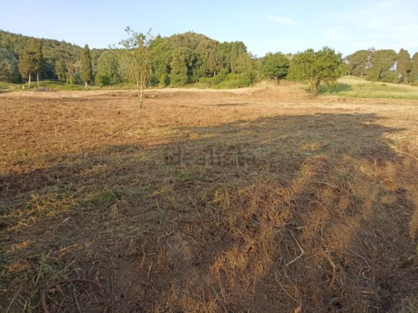 terreno edificabile in vendita a Fauglia