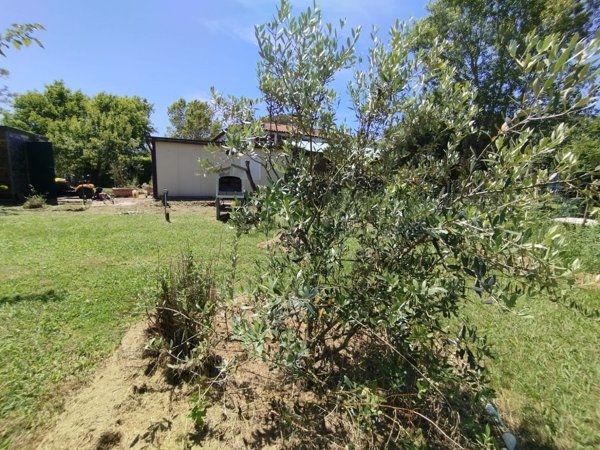 terreno agricolo in vendita a Fauglia