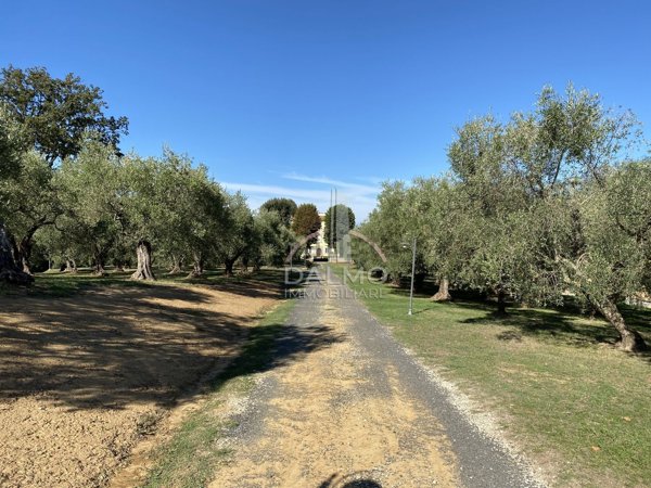 casa indipendente in vendita a Fauglia