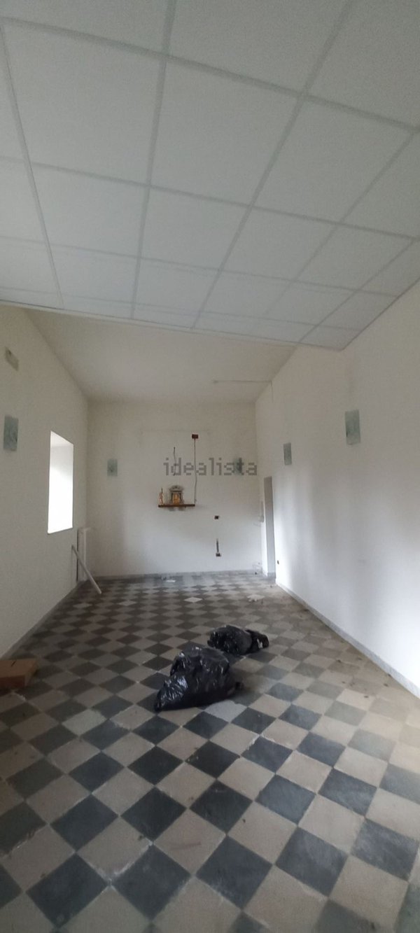 terreno edificabile in vendita a Fauglia