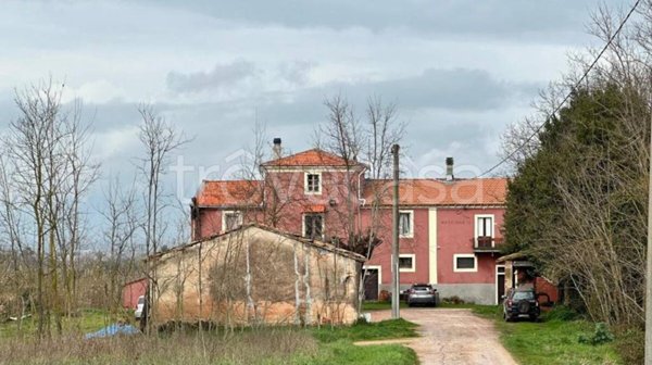 casa indipendente in vendita a Fauglia