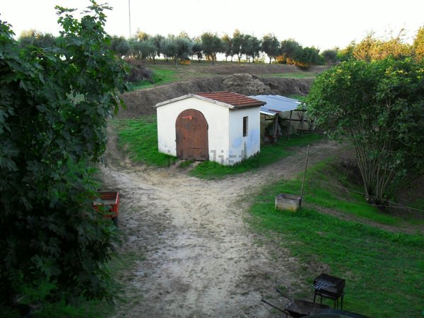 appartamento in vendita a Fauglia