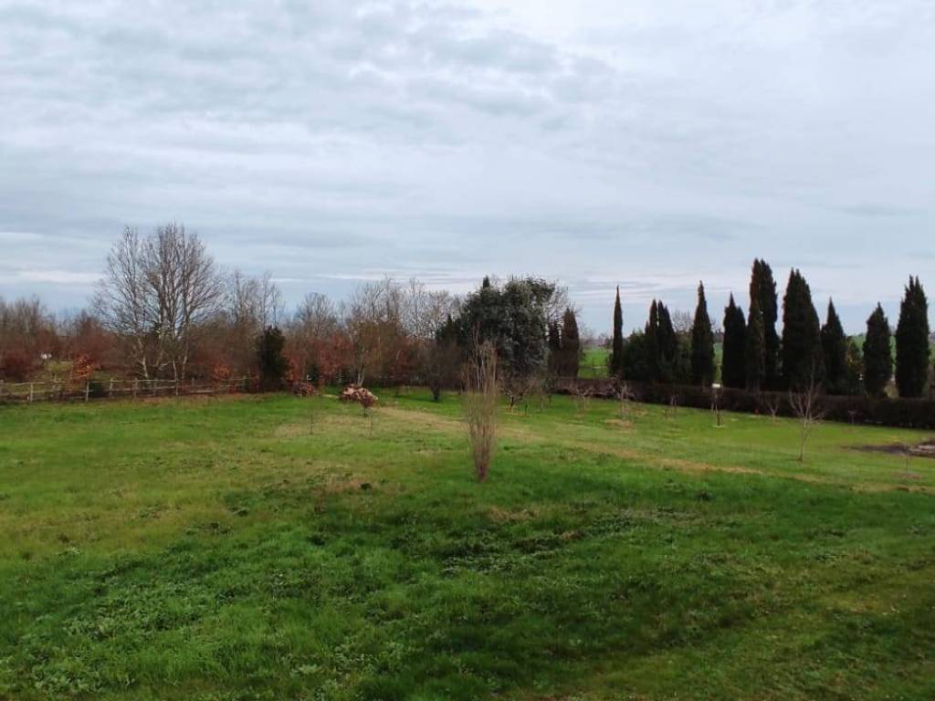 terreno agricolo in vendita a Fauglia in zona Acciaiolo