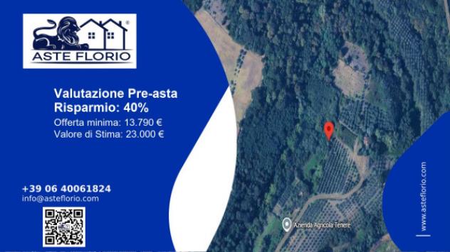 terreno agricolo in vendita a Fauglia