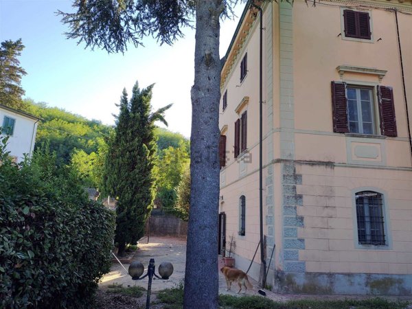 casa indipendente in vendita a Fauglia in zona Acciaiolo