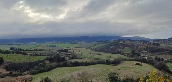 casa indipendente in vendita a Fauglia