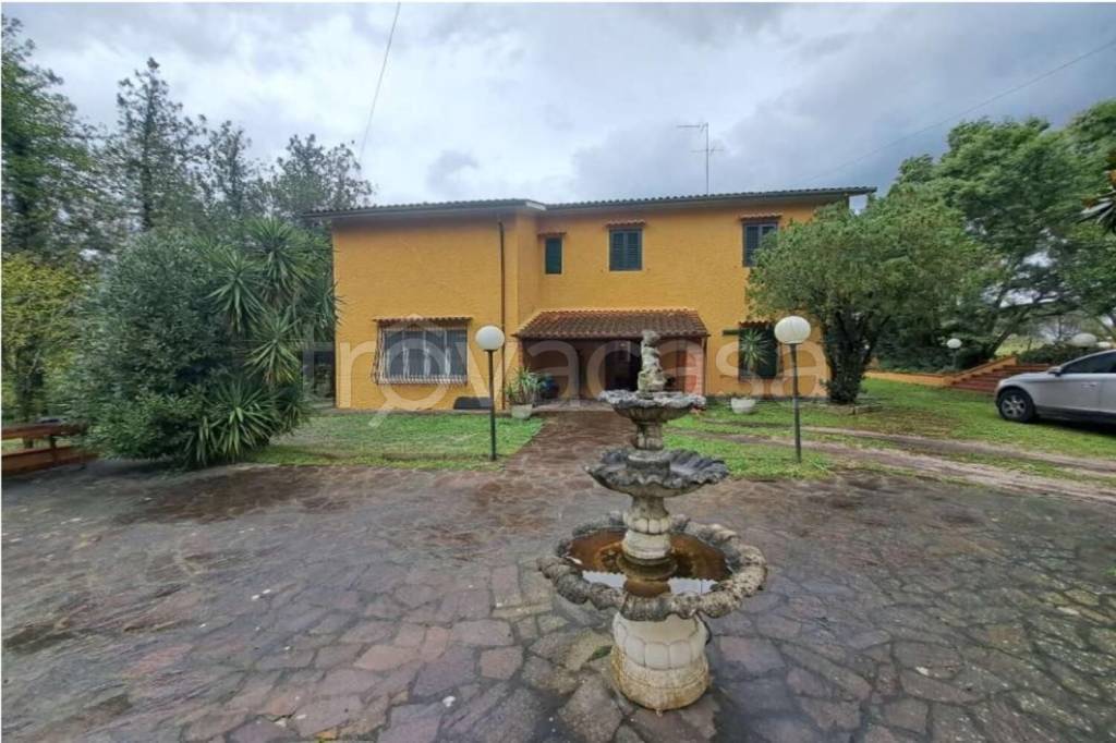 casa indipendente in vendita a Fauglia
