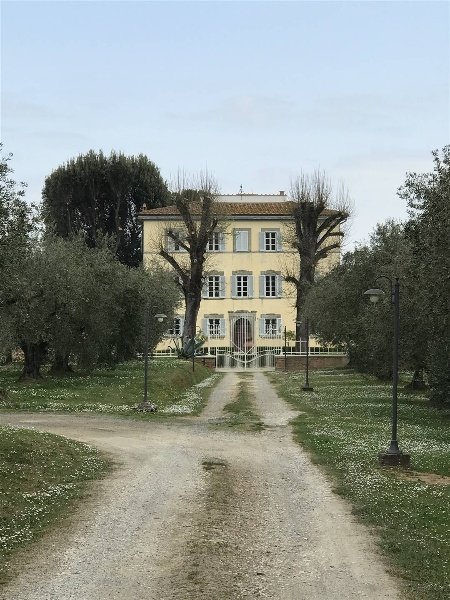 villa in vendita a Fauglia