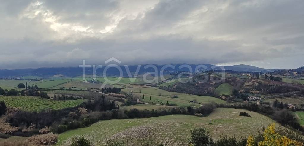 casa indipendente in vendita a Fauglia