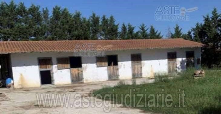 terreno edificabile in vendita a Fauglia