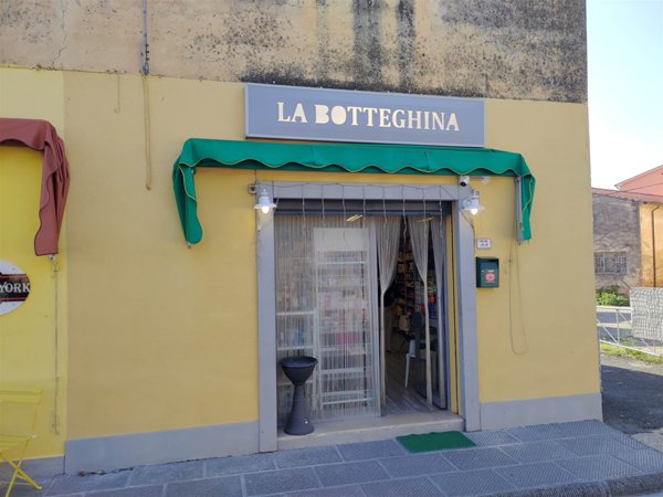 negozio in vendita a Fauglia