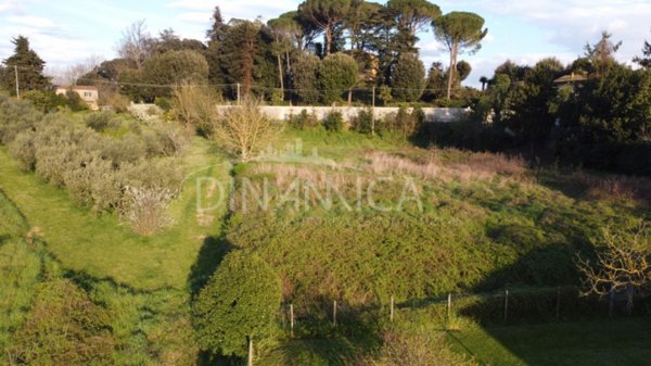 terreno agricolo in vendita a Fauglia