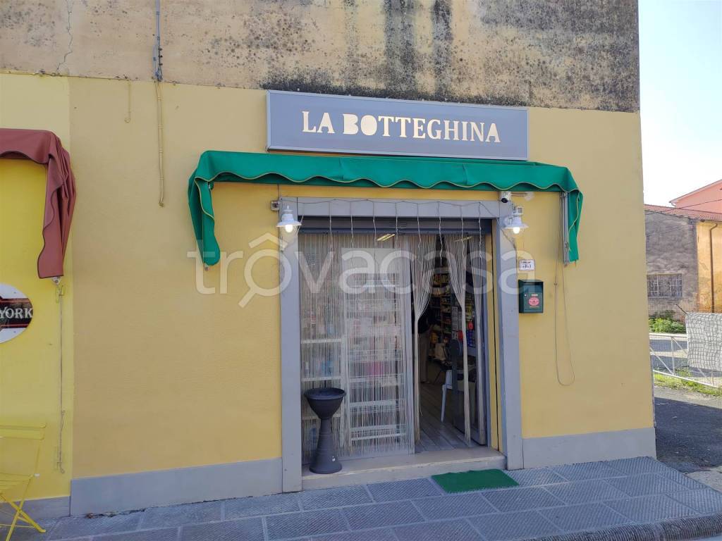 negozio in vendita a Fauglia