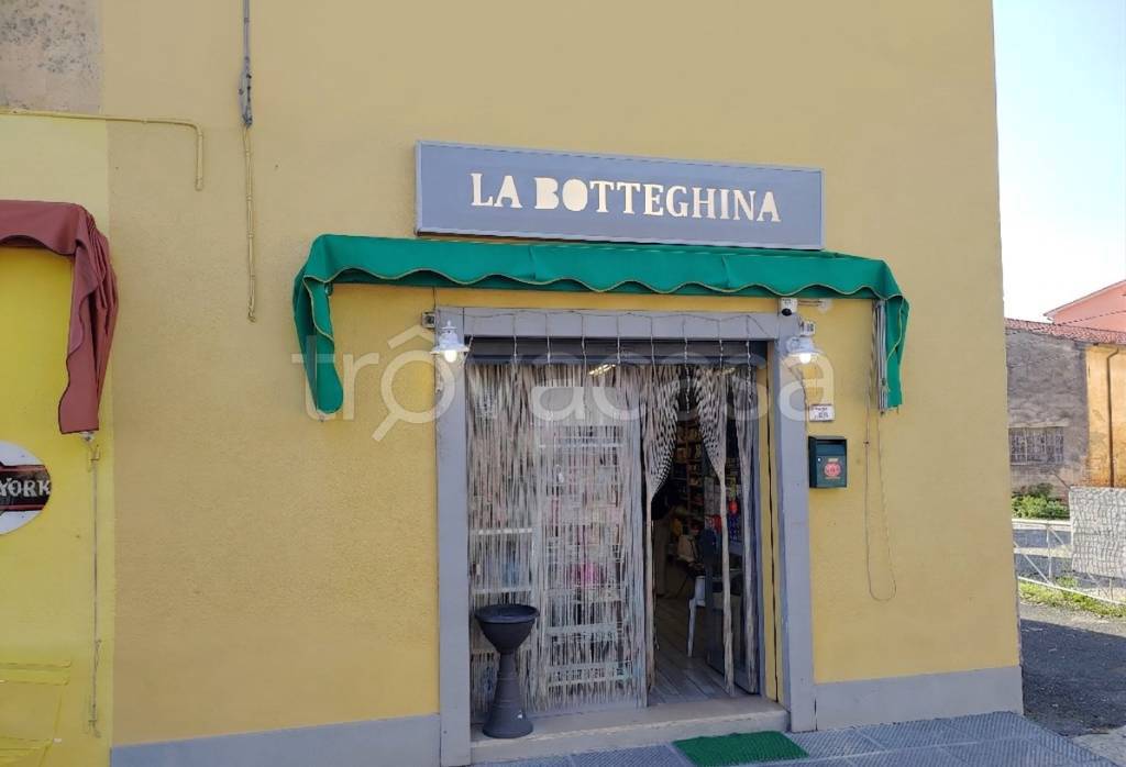 negozio in vendita a Fauglia