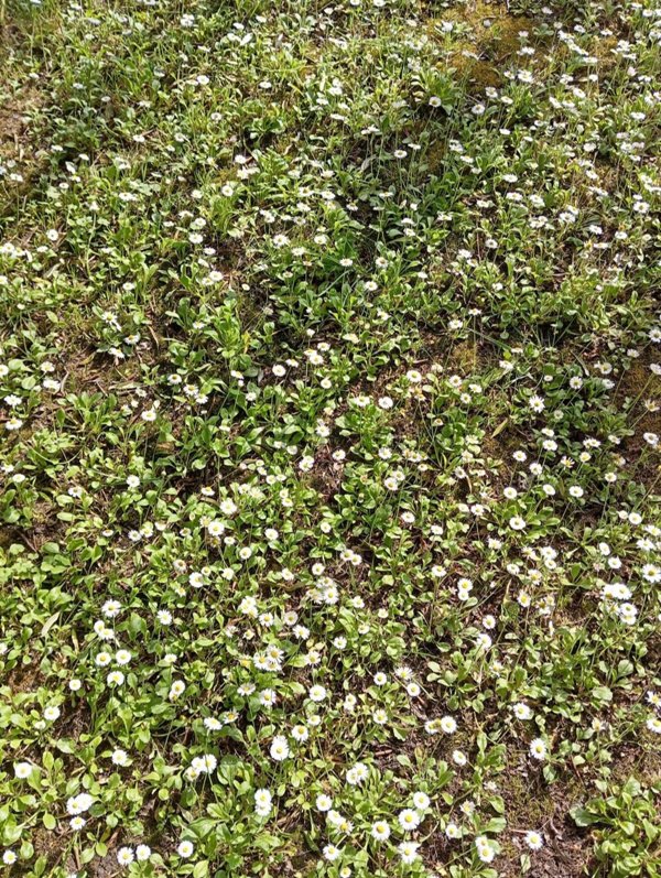 appartamento in vendita a Fauglia in zona Valtriano