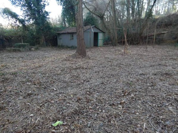 locale di sgombero in vendita a Fauglia