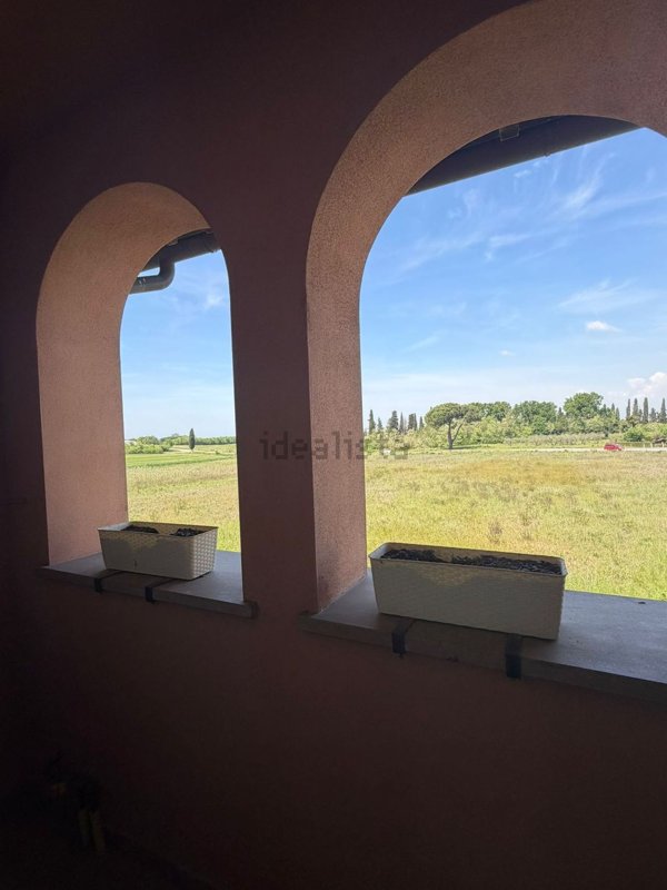 appartamento in vendita a Fauglia