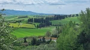 appartamento in vendita a Fauglia in zona Valtriano