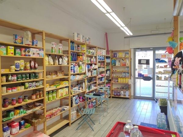 negozio in vendita a Fauglia