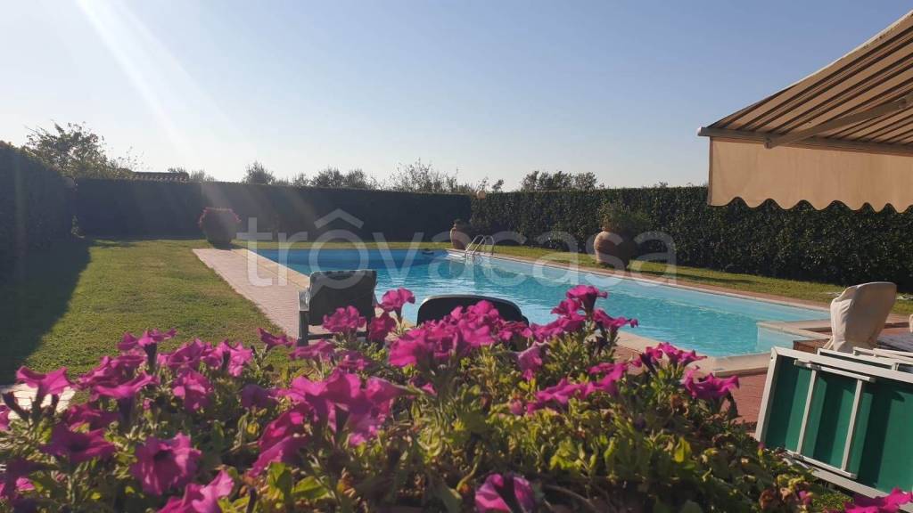 casa indipendente in vendita a Fauglia