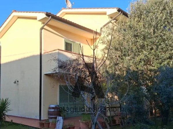 casa indipendente in vendita a Fauglia in zona Acciaiolo