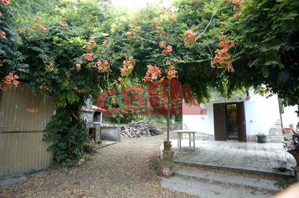 casa indipendente in vendita a Fauglia in zona Luciana