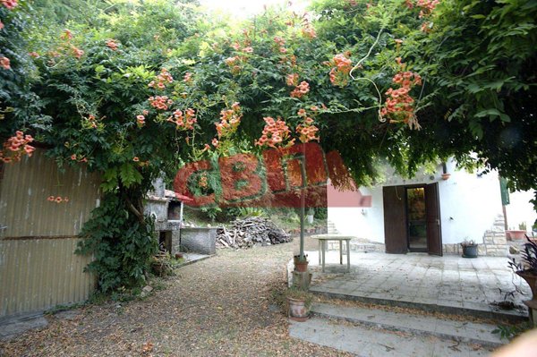 intera palazzina in vendita a Fauglia in zona Luciana