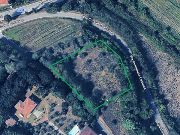 terreno agricolo in vendita a Fauglia in zona Luciana